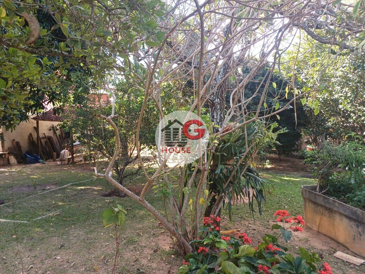 Imagem da propriedade WG3138 22