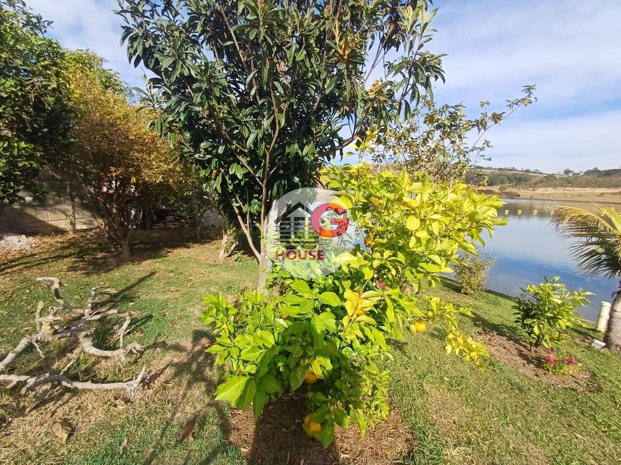 Imagem da propriedade WG3152 79