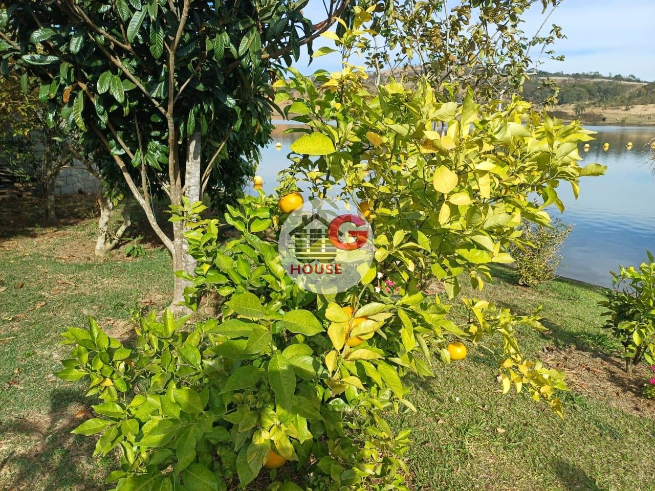 Imagem da propriedade WG3152 80